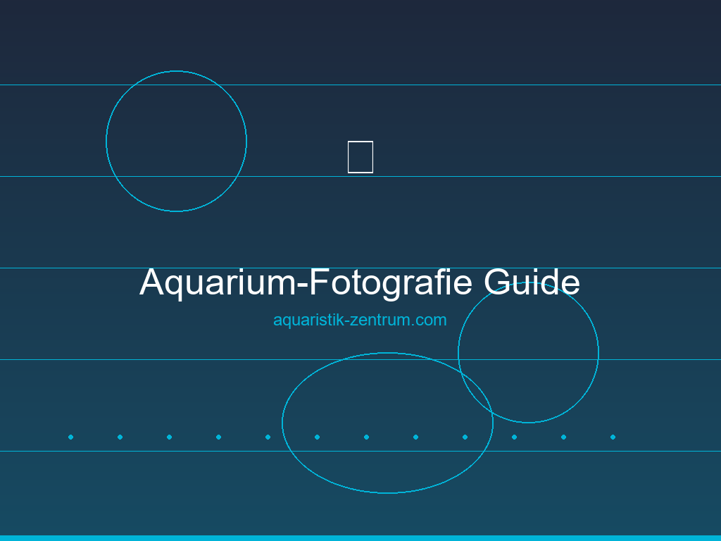 Aquarium-Fotografie Guide – Fische und Aquascapes perfekt fotografieren