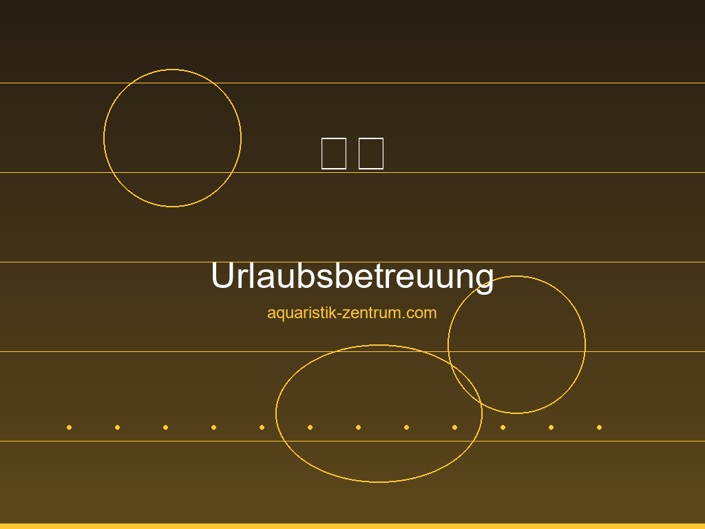 Urlaubsbetreuung fürs Aquarium – Automatische Fütterung und Pflege bei Abwesenheit