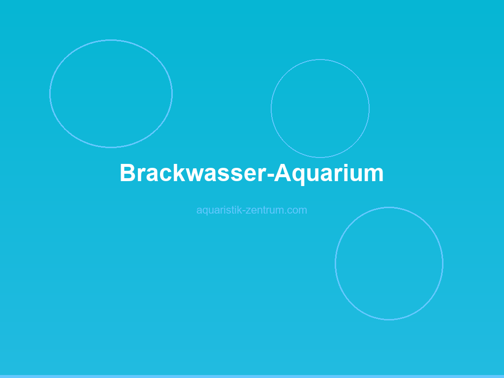 Brackwasser-Aquarium mit Mangrovenwurzeln, Salzwasser-Indikatoren und typischen Brackwasserbewohnern