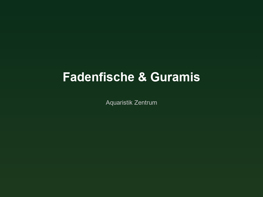 Fadenfische und Guramis – Labyrinthfische im Aquarium halten