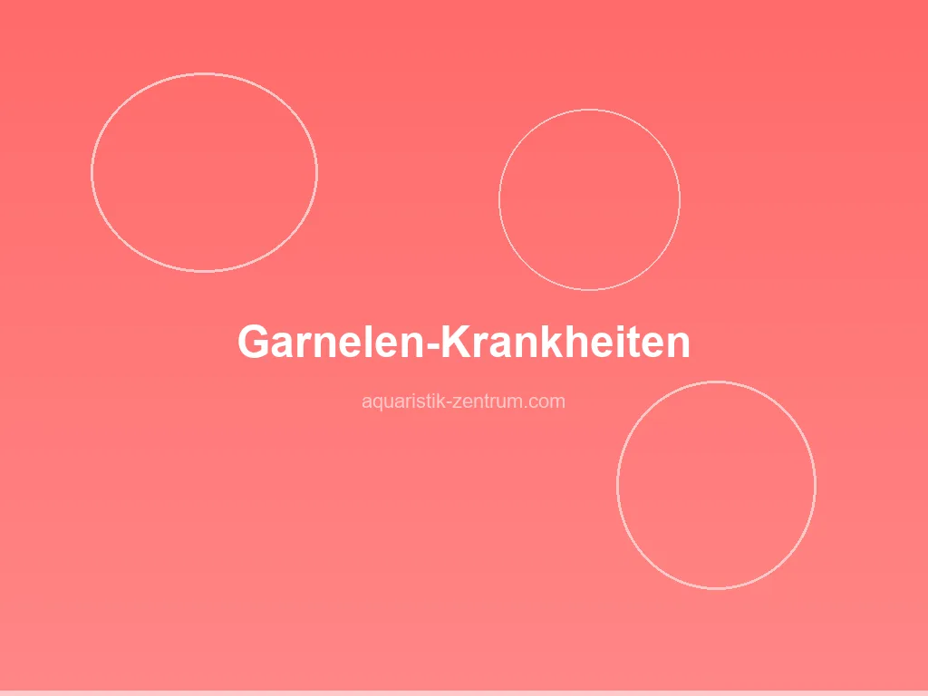 Garnelen-Krankheiten – Symptome, Behandlung und Vorbeugung im Aquarium