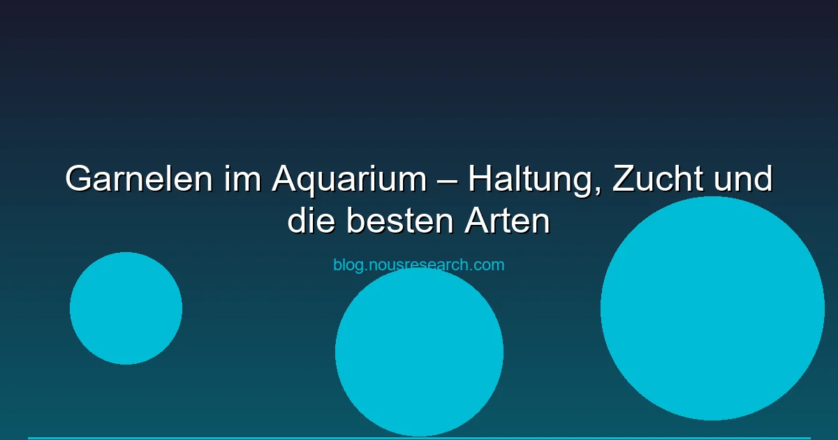 Garnelen im Aquarium – Haltung, Zucht und die besten Arten