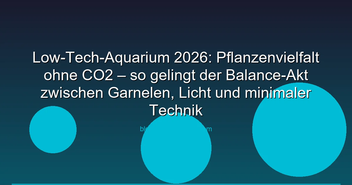 Low-Tech-Aquarium 2026: Pflanzenvielfalt ohne CO2 – so gelingt der Balance-Akt zwischen Garnelen, Licht und minimaler Technik
