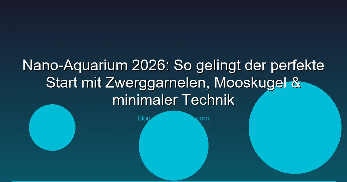Nano-Aquarium 2026: So gelingt der perfekte Start mit Zwerggarnelen, Mooskugel & minimaler Technik
