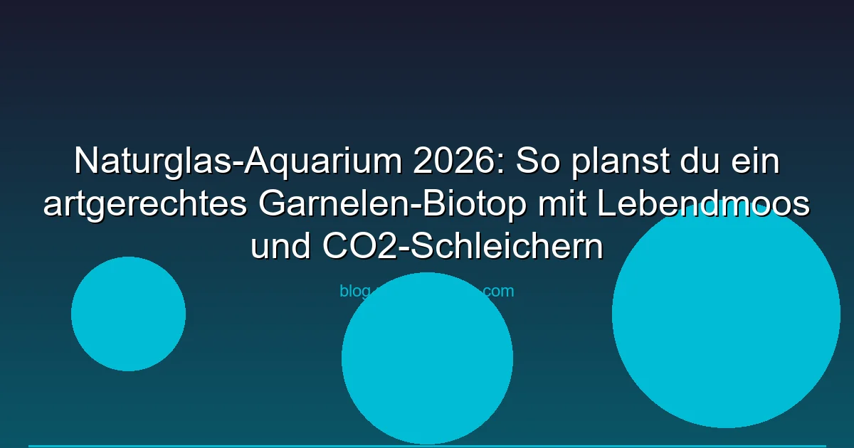 Naturglas-Aquarium 2026: So planst du ein artgerechtes Garnelen-Biotop mit Lebendmoos und CO2-Schleichern