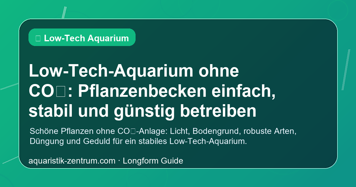 Low-Tech Aquarium mit Anubias, Javafarn und Moos – üppiger Pflanzenwuchs ohne CO2-Anlage