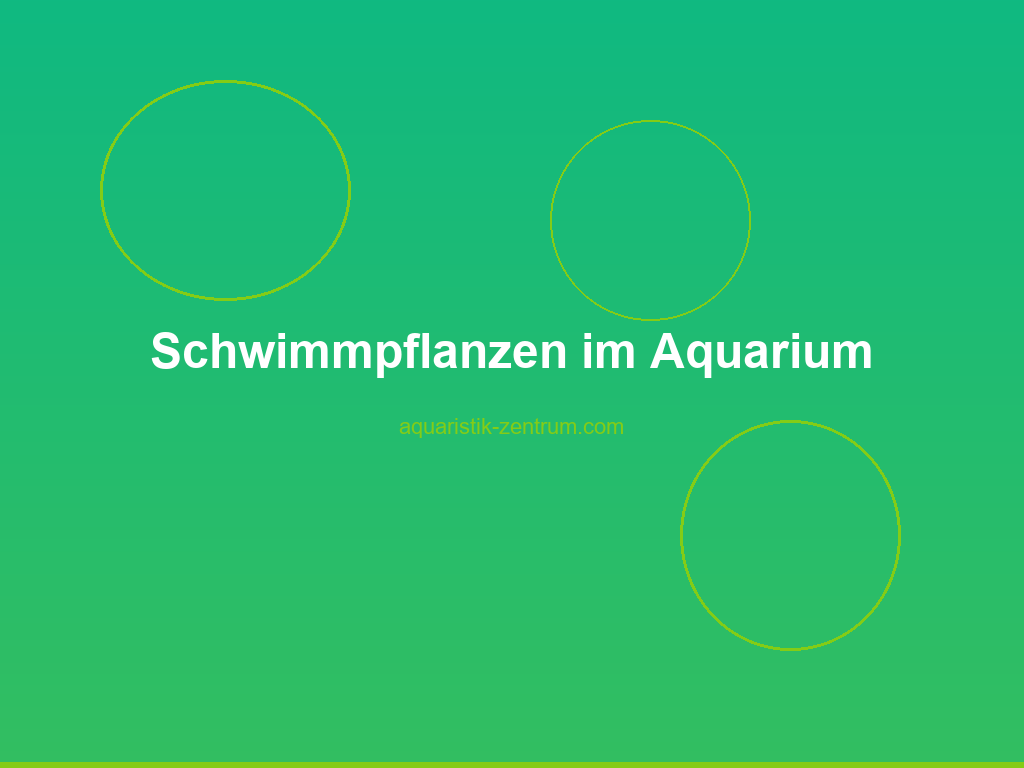 Schwimmpflanzen wie Froschbiss und Muschelblume auf der Wasseroberfläche eines bepflanzten Aquariums
