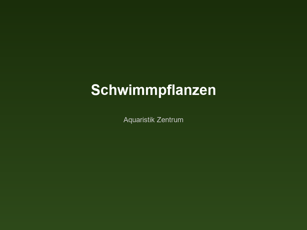Schwimmpflanzen im Aquarium – Arten, Pflege & Vorteile