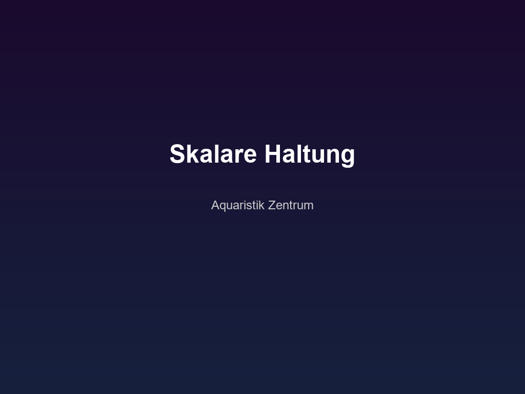 Skalare Haltung und Pflege im Aquarium