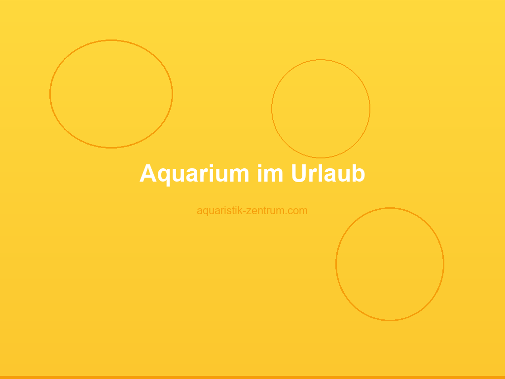 Futterautomat auf dem Aquarium, bereit für den Urlaubseinsatz