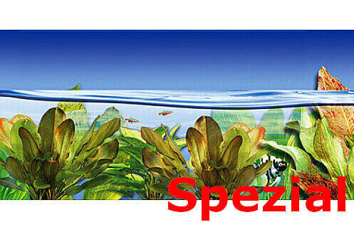 Anti-Algen Pflanzpaket Hintergrund 60